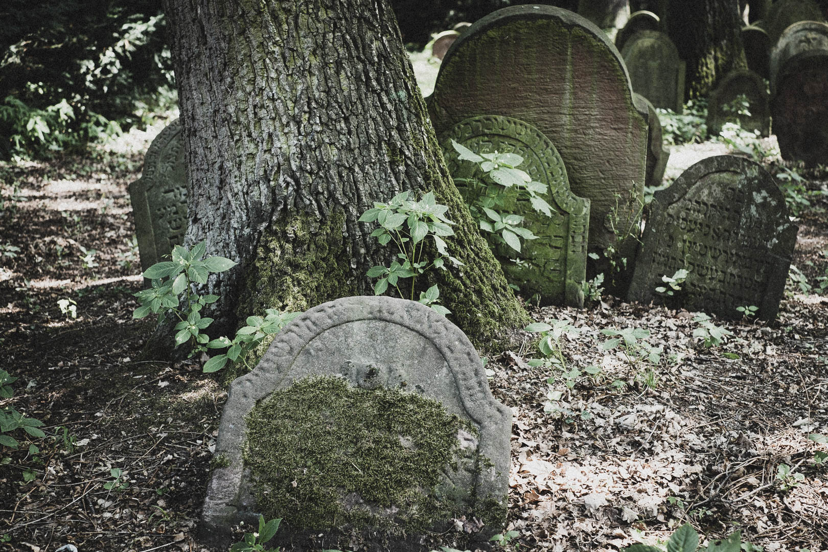 Hanau, Jüdischer Friedhof
